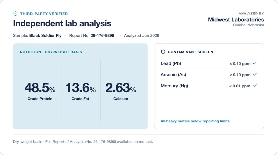 Third-Party Testing