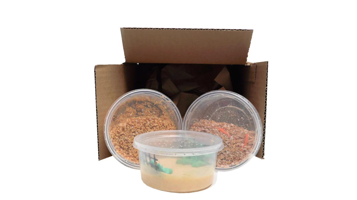 ReptiBites Lite box
