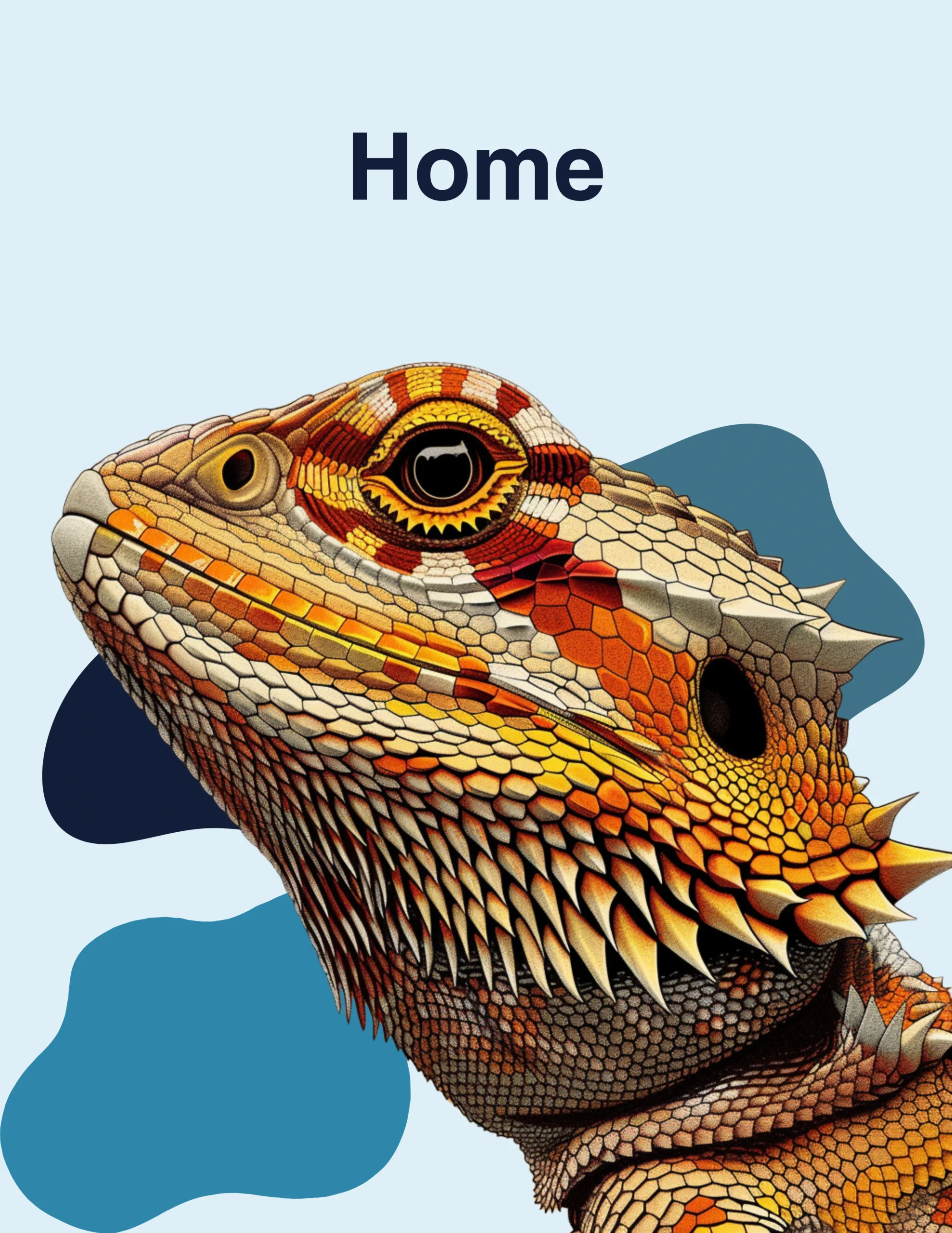 Bearded Dragon Care Guide Home