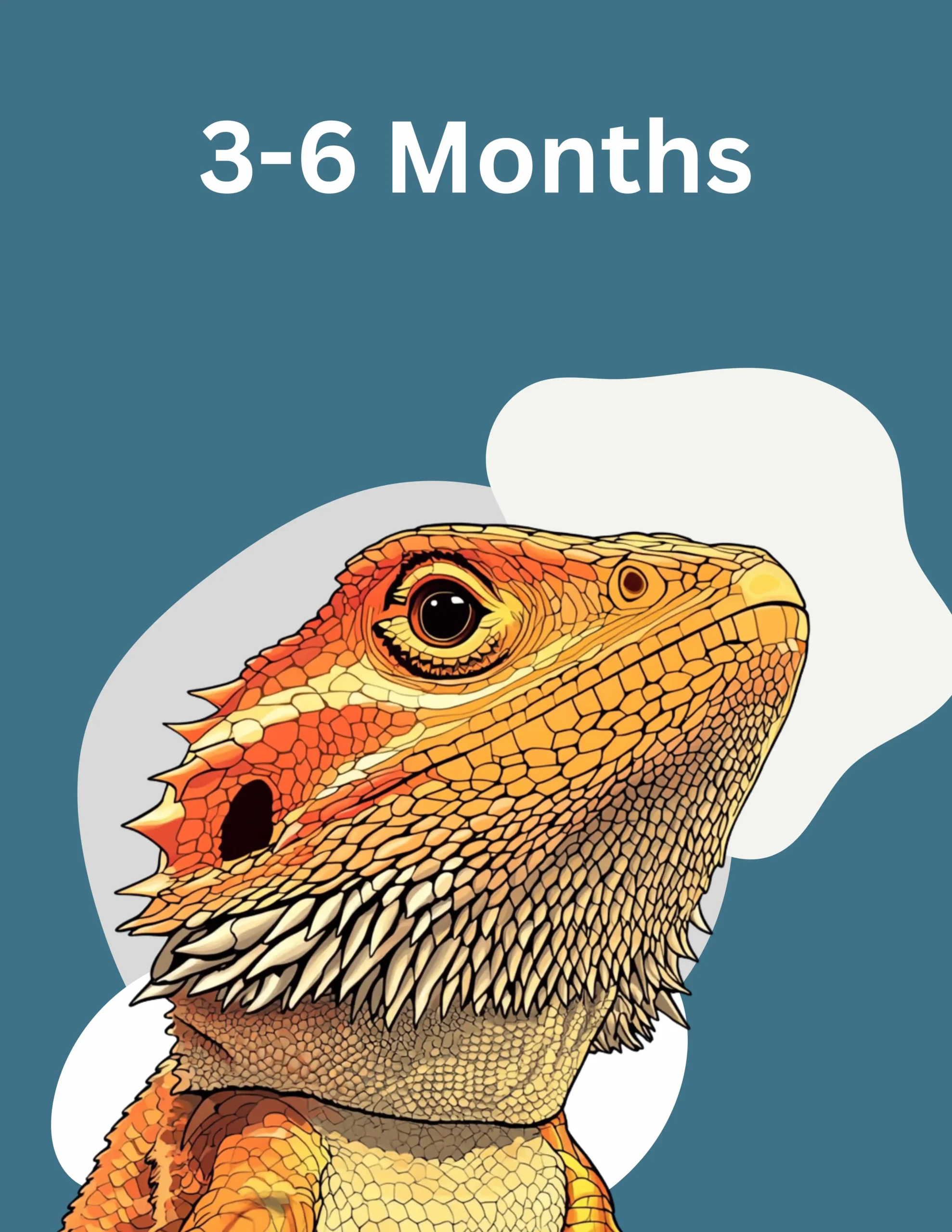 Bearded Dragon Food Subscription 3-6