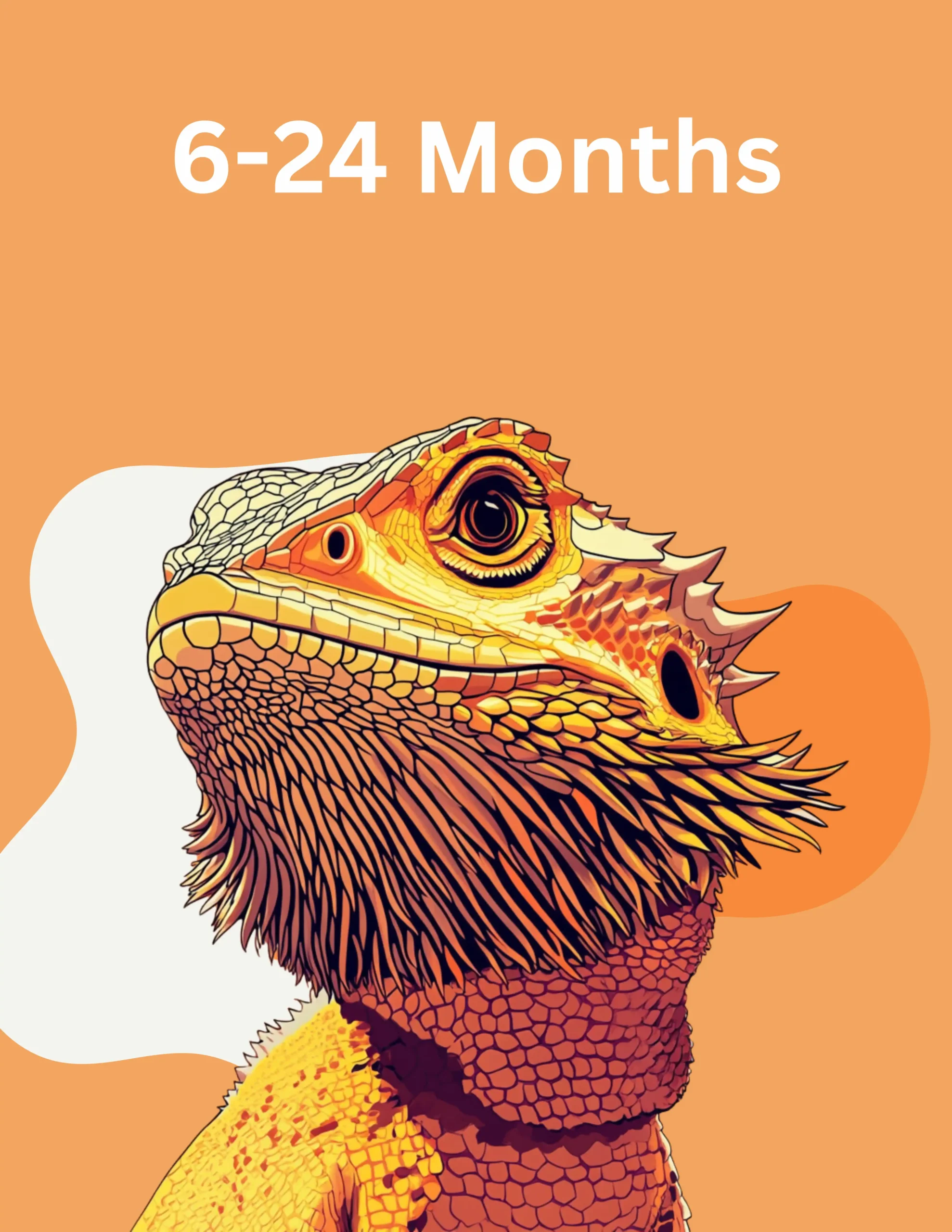 Bearded Dragon Food Subscription 6-24